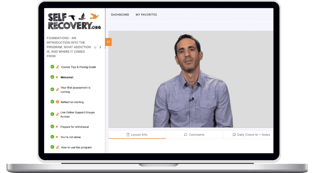 best online addiction recovery program with dr. hochman